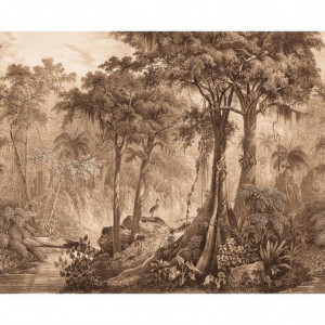 Madagascar 543766 - Mural Decorativo Decoas