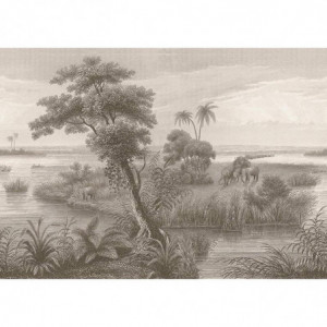 Madagascar 556155 - Mural Decorativo Decoas