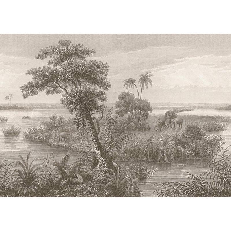 Madagascar 556155 - Mural Decorativo Decoas