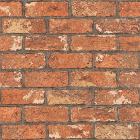 Practik 055 PRA - Papel Pintado Decoas - Página 55