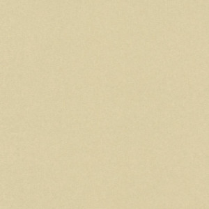 Exclusive 009-EXC Página 9 Papel pintado