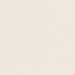 Exclusive 053-EXC Página 53 Papel pintado