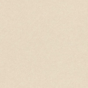 Exclusive 016-EXC Página 16 Papel pintado