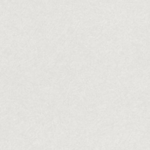 Exclusive 020-EXC Página 20 Papel pintado