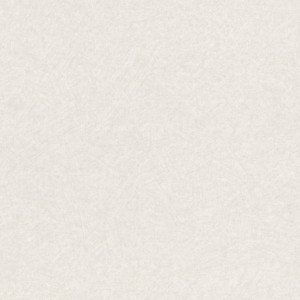 Exclusive 057-EXC Página 57 Papel pintado