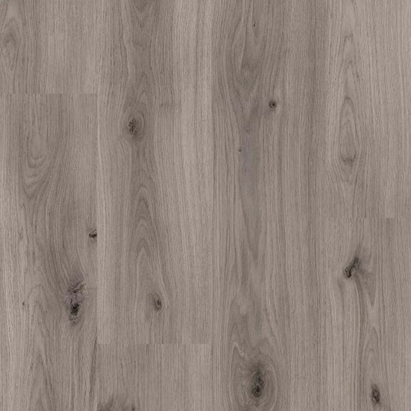 Suelo laminado  8mm AC4 XXL Roble Gris Bruma - Disfloor 36899