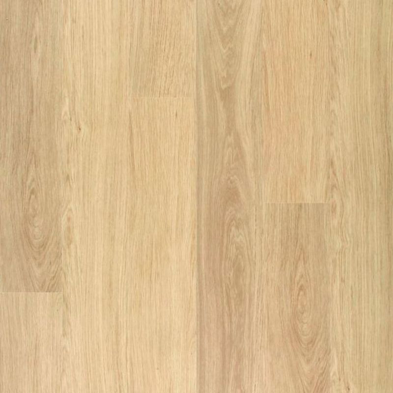Suelo laminado  8mm AC5 Roble Clásico Blanco - Disfloor 33870
