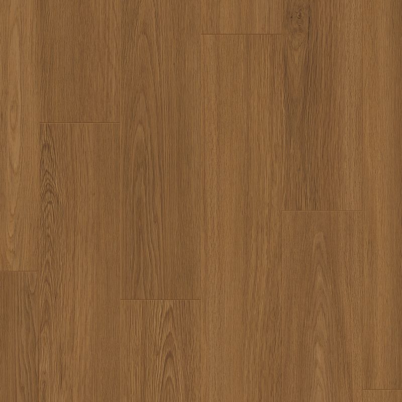 Suelo laminado  8mm AC5 Roble Marrón Chocolate - Disfloor 33801