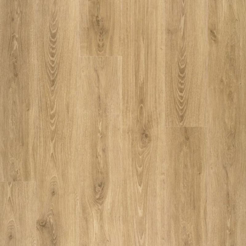 Suelo laminado  8mm AC5 4V Roble Beige - Disfloor 34880