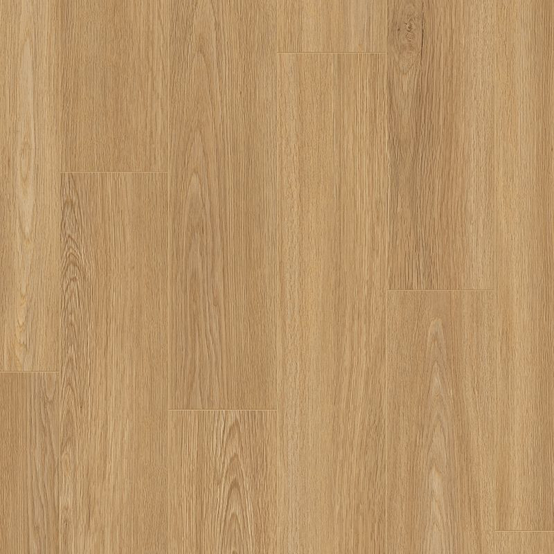 Suelo laminado  8mm AC5 4V Roble Novel - Disfloor 34804