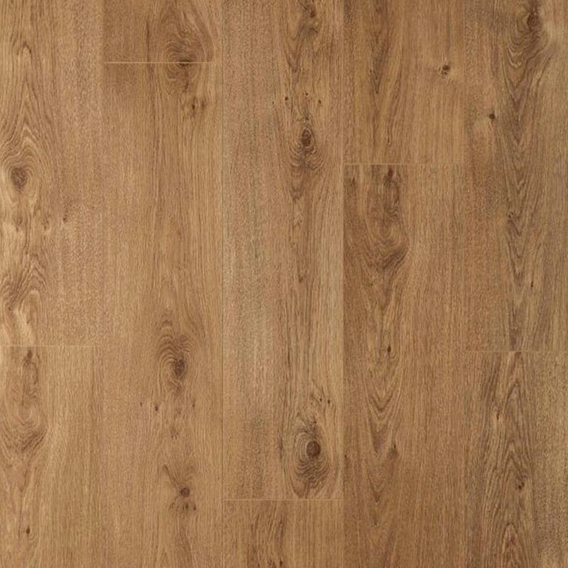 Suelo laminado  8mm AC5 Nature Prof Roble Beige Natural - Disfloor 33868