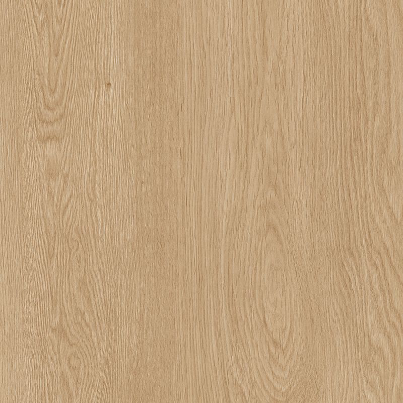 Suelo laminado  8mm AC5 Nature Prof Roble Francés - Disfloor 33827