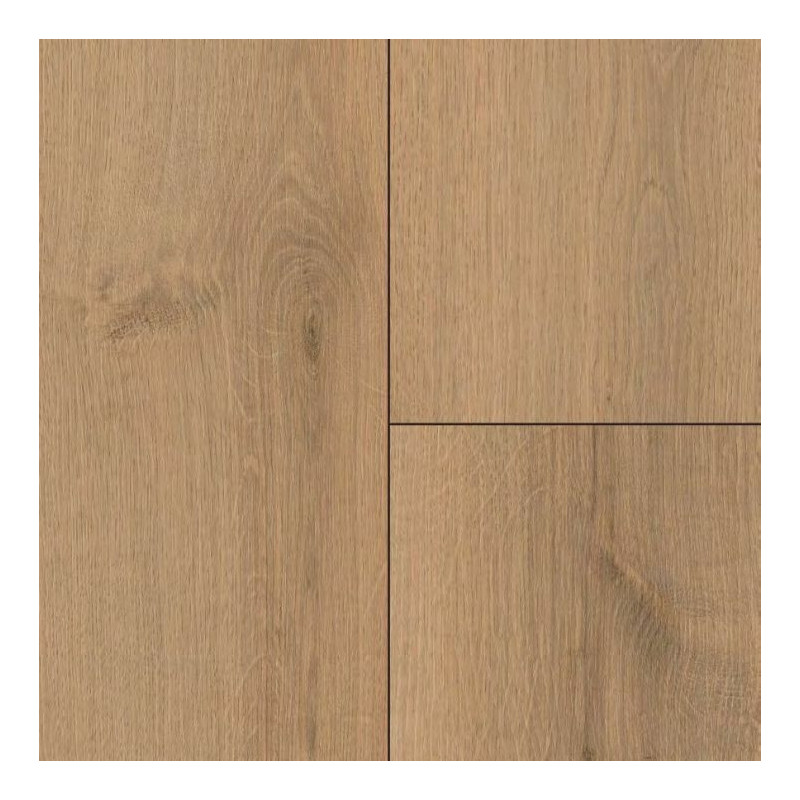 Floorpan Elite XL AC5 12 mm Messe Ref. 5019  - Suelo laminado